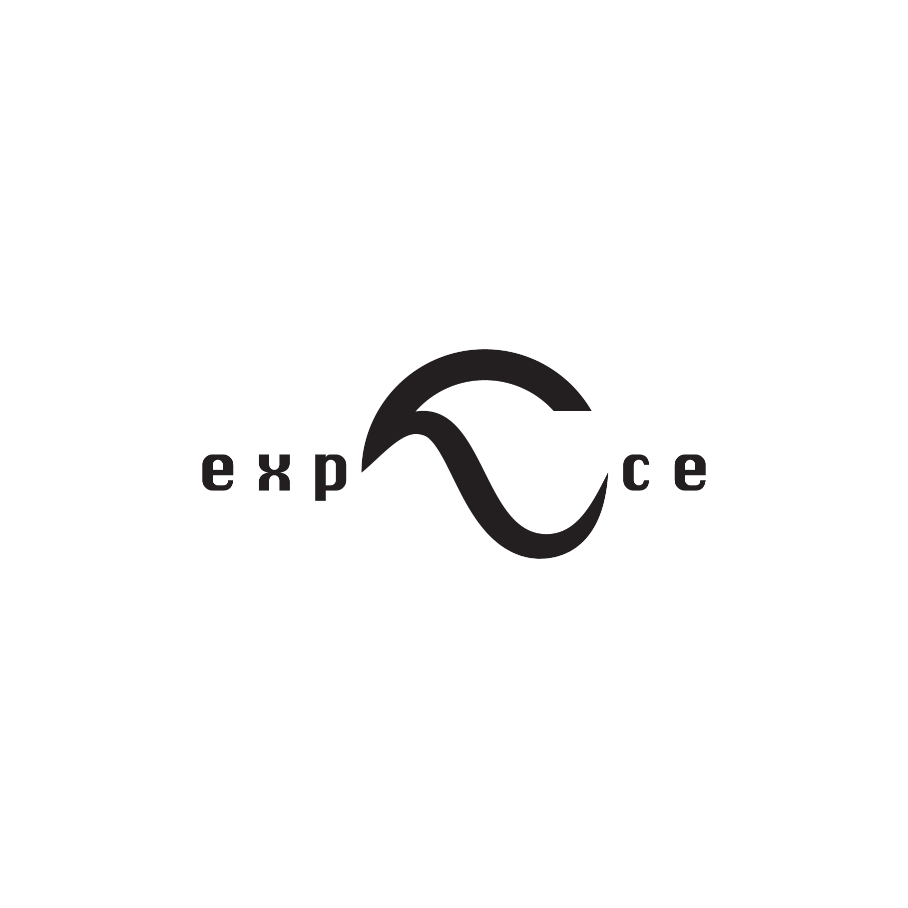 eˣ perience Logo